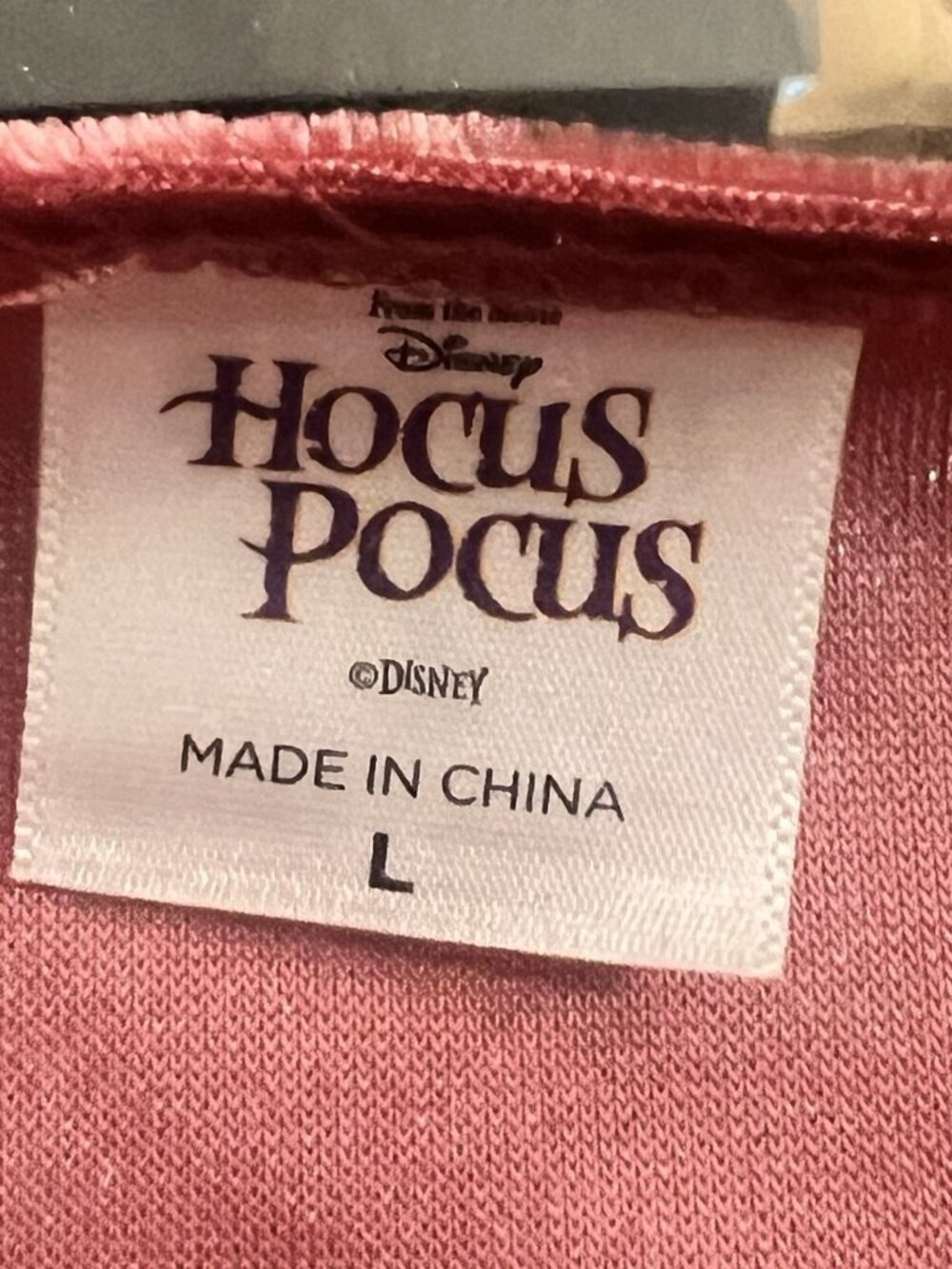 Disney Movie Sarah Sanderson  Hocus Pocus Pink Burgundy Gold L Costume.    G - Picture 7 of 8